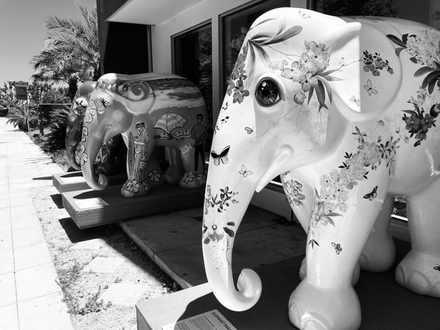 Elephant Parade | GALLERY DANA BAY